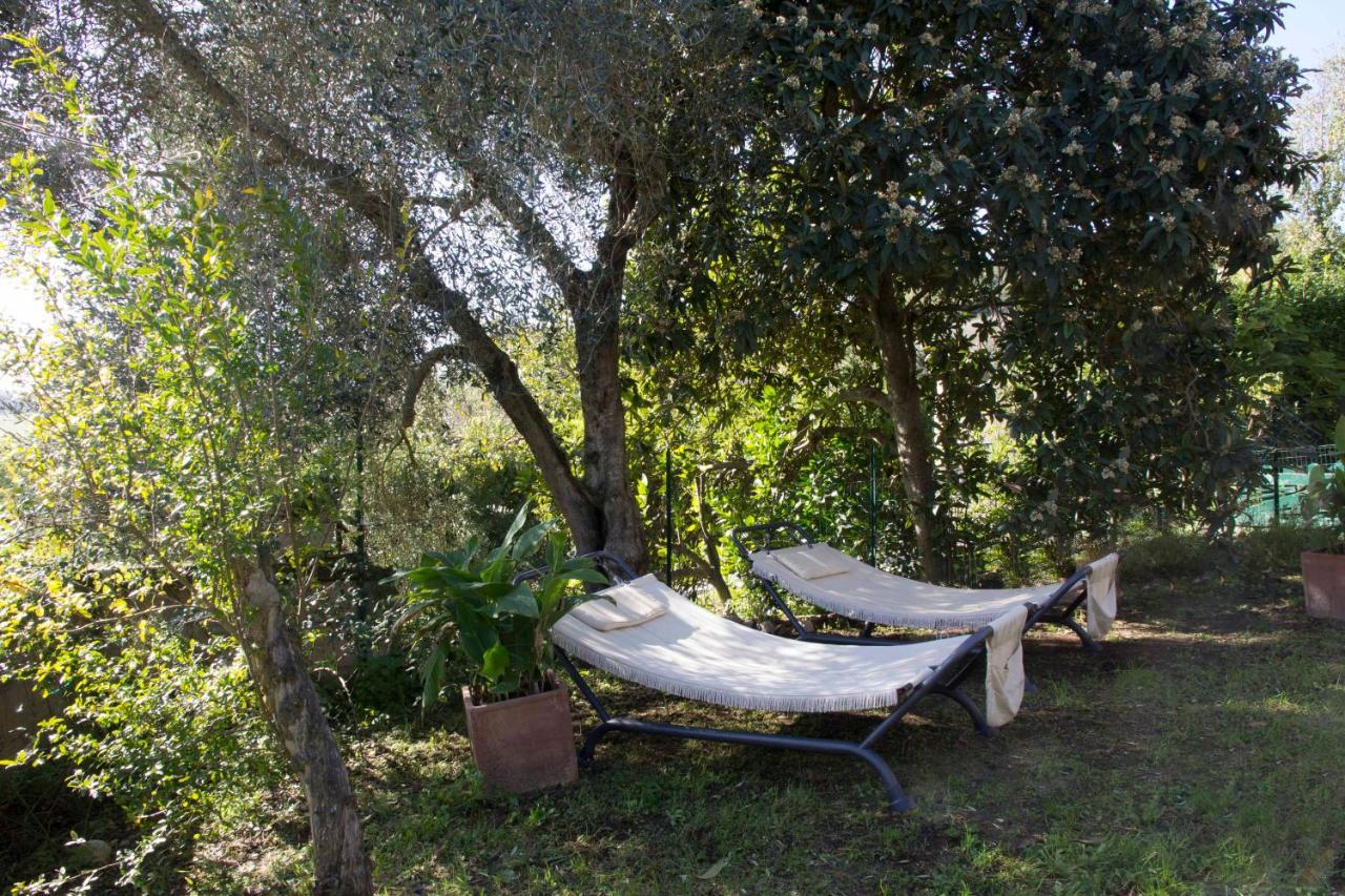 오트리콜리 Casale San Pietro B&B 외부 사진